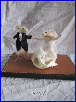 taxidermie souris mariée dansant taxidermy rat maried mouse cabinet de curiosité odditties