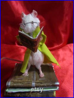 taxidermie souris petit rat lecteur taxidermy rat mouse curiosité oddities