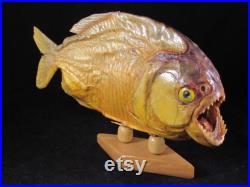 taxidermie vintage Piranha Fish