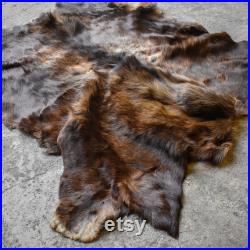 vintage années 60 American Yellowstone Moose Skin Hide Tapis Taxidermie Chasse Mount Cabin Lodge Ranch Man Cave Decor