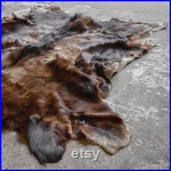 vintage années 60 American Yellowstone Moose Skin Hide Tapis Taxidermie Chasse Mount Cabin Lodge Ranch Man Cave Decor